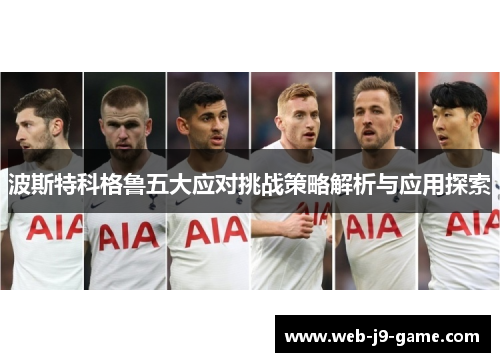 波斯特科格鲁五大应对挑战策略解析与应用探索 波斯特科格鲁五大应对挑战策略解析与应用探索
