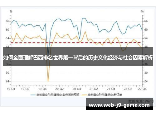 如何全面理解巴西排名世界第一背后的历史文化经济与社会因素解析 如何全面理解巴西排名世界第一背后的历史文化经济与社会因素解析